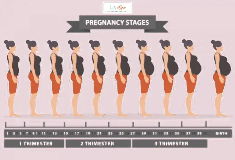First Trimester (Weeks 1–12): Early Changes You Might Not Notice Feltham